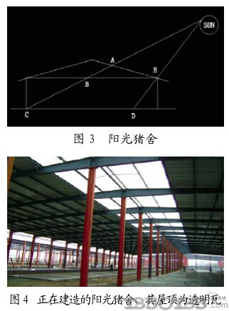透明瓦用于豬場(chǎng)的好處